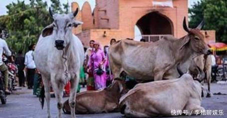 印度|为什么印度富人只吃素食,只有穷人才吃肉?真正的“肉食者鄙”?