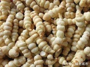 春蚕|农村有种植物，长的像春蚕一样，农民胶片它“螺丝菜”