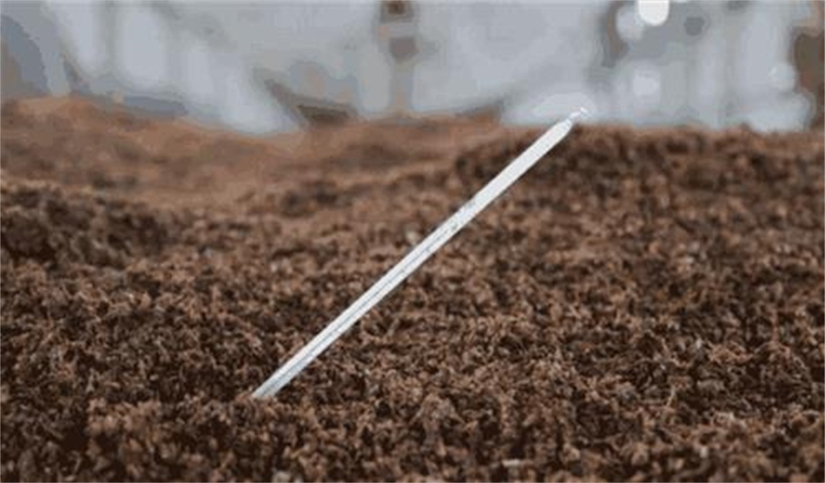 过程中|酿酒温度怎么控制?真全粮烧酒设备