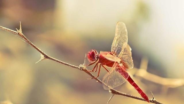  句句|最值得收藏的经典语录，句句深入人心，说出了你的心声