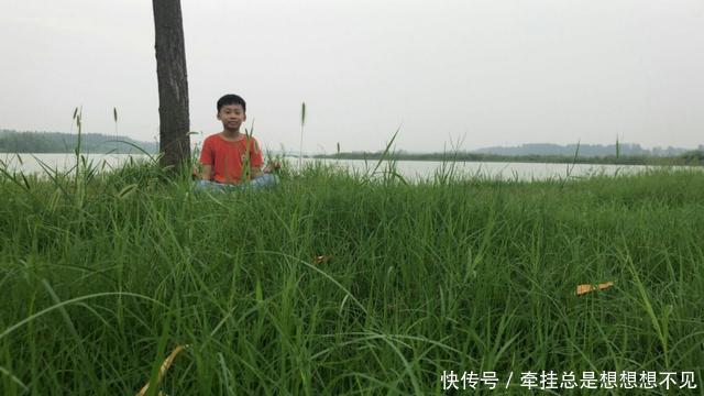 河南省|河南省民权县任庄国家湿地公园快来看,这里的千亩荷花开了