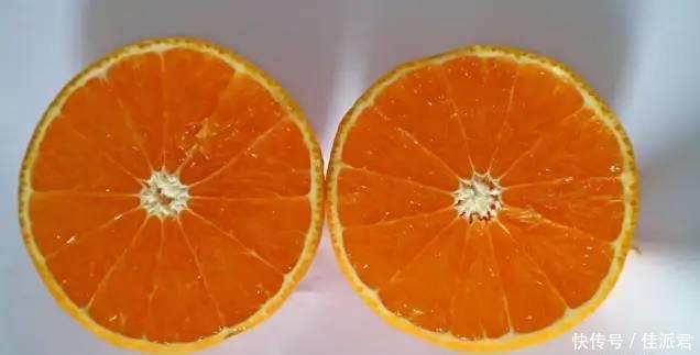 柑橘|黄美人好不好?黄美人为什么这么贵