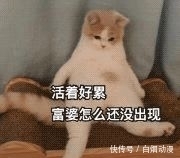 努力|“富婆我不想努力了！”男子网恋五旬富婆反被抓！醒醒吧！