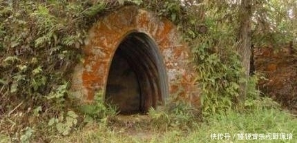 越战|对越战, 连长受伤躲进山洞, 看见头顶的东西, 说: 快, 把它打下来