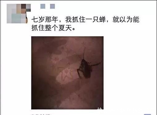 朋友圈|那些令人捧腹的朋友圈, 看完笑坏了