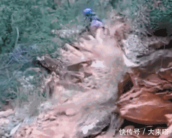  行人|镜头下: 那些不死也会被吓死的“惊险瞬间”