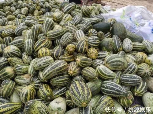 挑大|买甜瓜时,直接挑大的就错了牢记这3点,一挑一个准,个个香甜