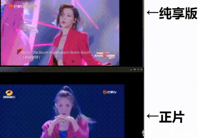 不想|别问，问就是万茜「人淡如菊」不想红