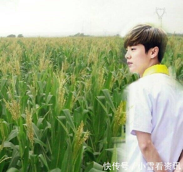 很多年以后,鹿晗可能是个老干部,不信的看图