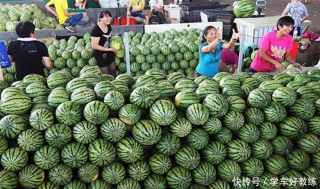 卷曲|买西瓜时怎么挑专捡“母西瓜”拿就对了,老板看了都不敢忽悠你