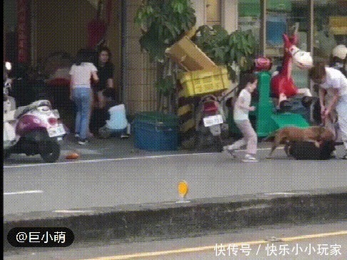  发狂|“第一猛犬”发狂咬土狗32秒，5岁女孩赤手空拳阻止，场面惊心
