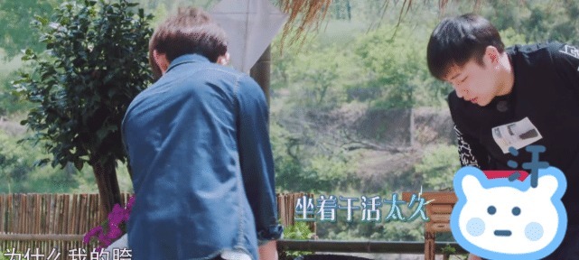  最多|《向往》最累的人不是黄磊！未播花絮表明原因，才知道农活全让他干了！