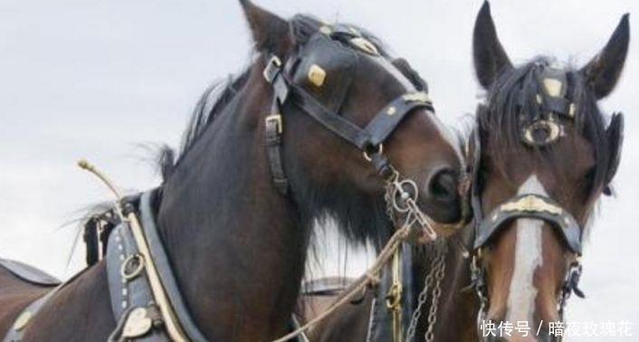 残酷|古代的急件为什么没有土匪抢，只是因为规定太残酷了