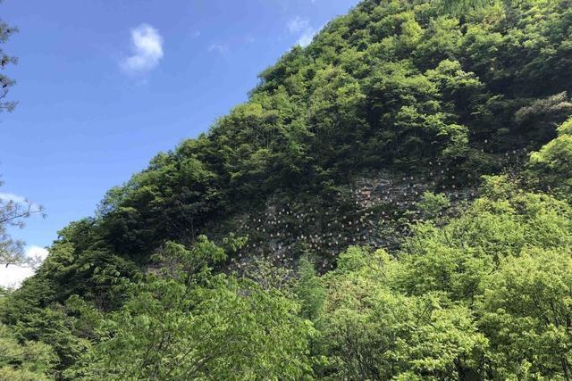  隐藏|神农架林区的“悬棺”：隐藏了这些秘密，产值竟过亿元！