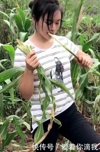 大学生|90后女大学生帮父母掰玉米,口干了没水,下一幕她的做法让人惊讶