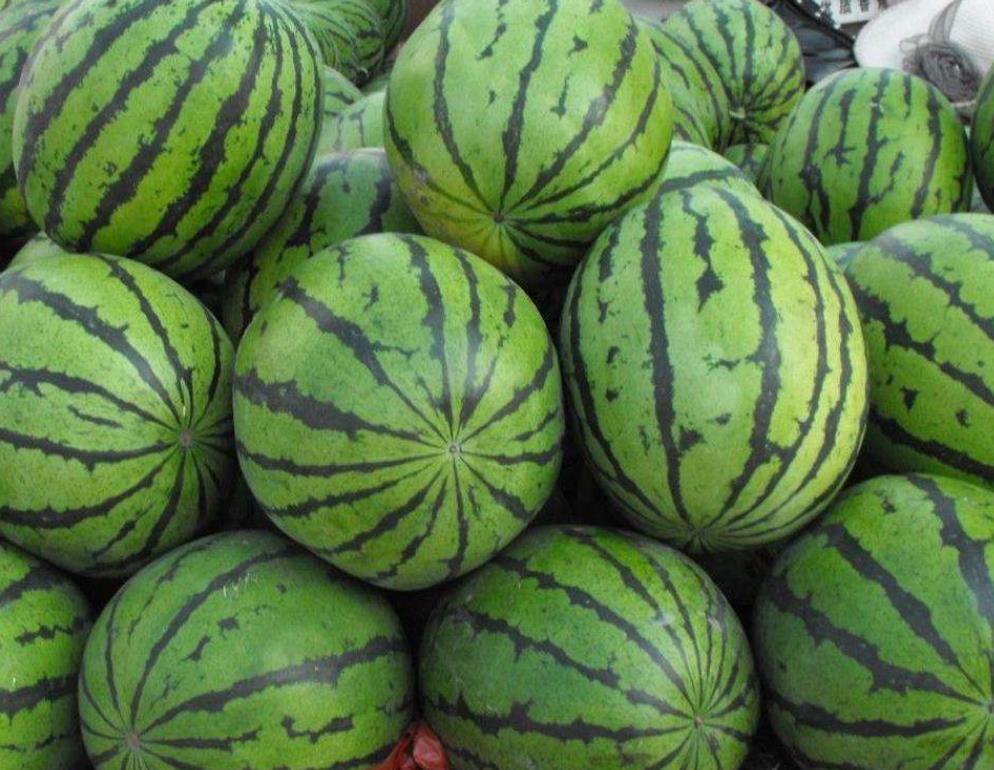  吃不完|西瓜吃不完别放冰箱了，水果店老板教我这样做，放3天都不坏