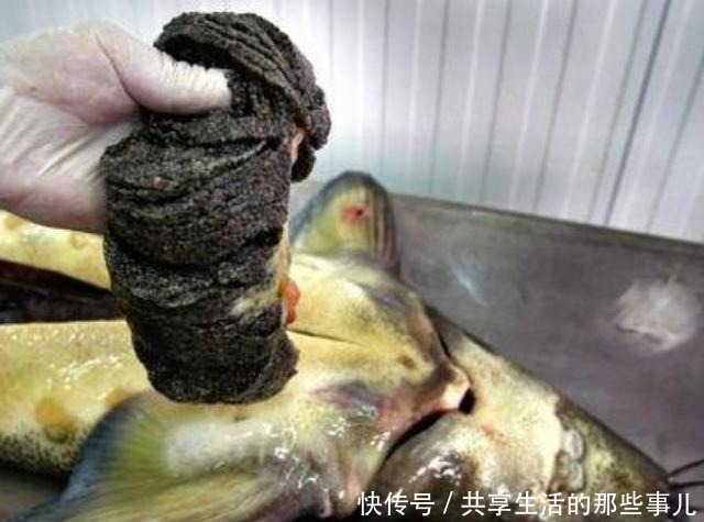 不道德|全球最“不道德”的美食,因虐待动物而取得,网友下不去嘴