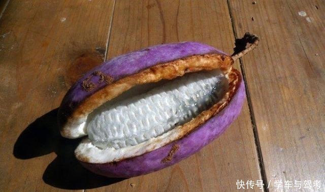 天价|中国满山都是的，在日本却被卖出了天价，这种水果你见过么