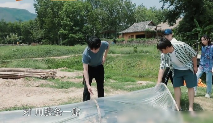 节目|《向往4》西瓜地终于长出西瓜,何炅扒开一看,穿帮镜头后期忘记了打码
