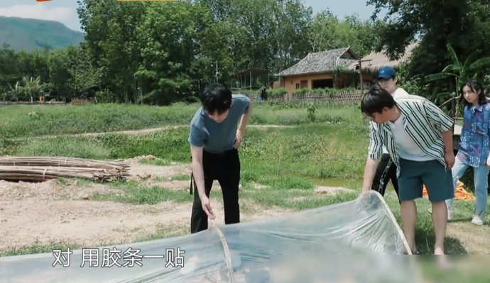  节目|《向往4》西瓜地终于长出西瓜，何炅扒开一看，穿帮镜头后期忘记了打码