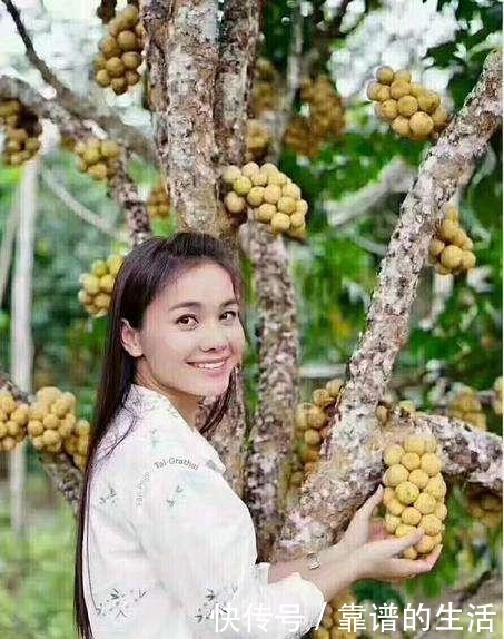 号称|泰国王妃最爱的水果,号称水果公主,尝一次就难忘