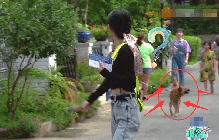  到直|赵丽颖被狗吓到直跑，狗主人跟她道歉，从她的回应方式看出人品！