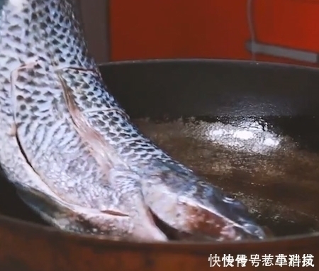  营养|唯一让中国吃货退却的鱼营养比甲鱼高，全身是宝，只要4元一斤