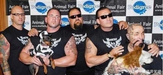 非得|普拉多和兰德酷路泽为什么非得贴拉花?真的好看吗?