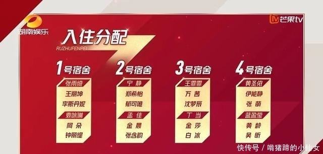 软肋|《乘风破浪的姐姐》为什么大热?不过是恰好击中30+的软肋罢了