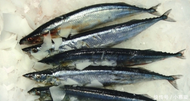 野生|这三种鱼,目前为止没办法人工养殖,所以放心买着吃吧