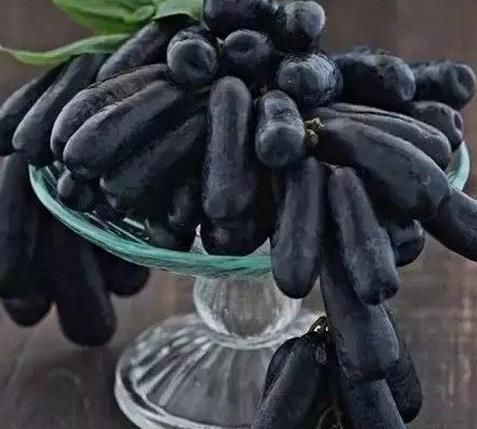 腻害|世间这8种奇葩水果，我就吃过一种，你要是全部都吃过，就腻害了