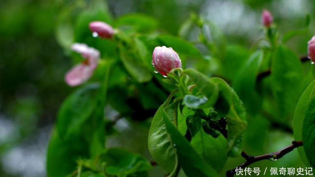 充满|王安石很经典的两首六言绝句,写得很是伤感,每一首都充满了忧愁