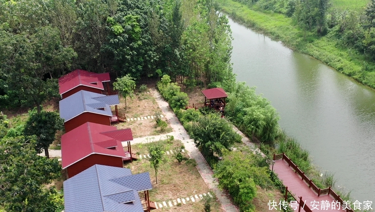 河边|大热天小伙河边生炉聚餐,享受免费汗蒸:没事找事遭罪受