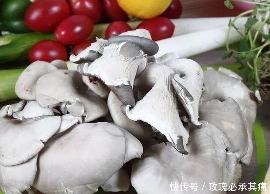 食物|南方人说: 北方的食物, 是世界上最大的骗子! ?