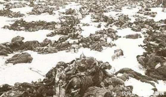 德国|为何二战前德国所向披靡,后期投入战斗却乏力?原因其实很复杂