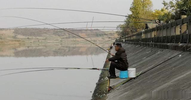  男子|男子钓鱼中被野猪咬伤腿，上演绝命反杀，不得不佩服他的果断