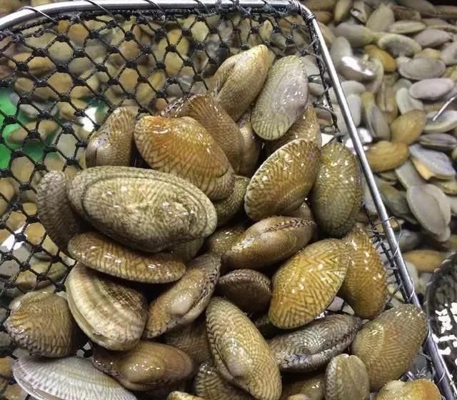 海鲜|世界上65种珍奇海鲜,贝爷都不敢说全部吃过,你吃过几种