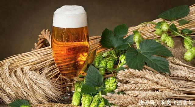 民间|它是制作啤酒的材料,目前100元一斤,民间山里就有,认识吗