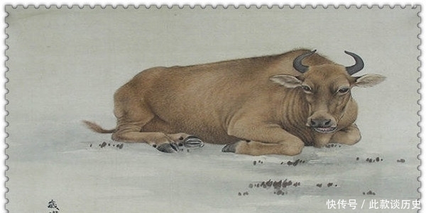  安排|这些生肖控制欲很强 喜欢安排别人