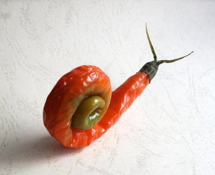 熊猫|丝瓜熊猫、菜叶鸵鸟……男子用蔬菜创造“动物世界”