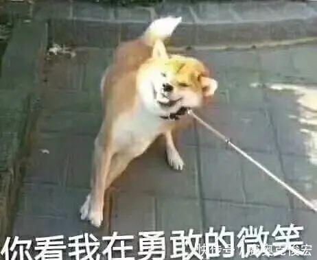 超市|“重庆人的消费观”上热搜!每一条都真实到扎心!