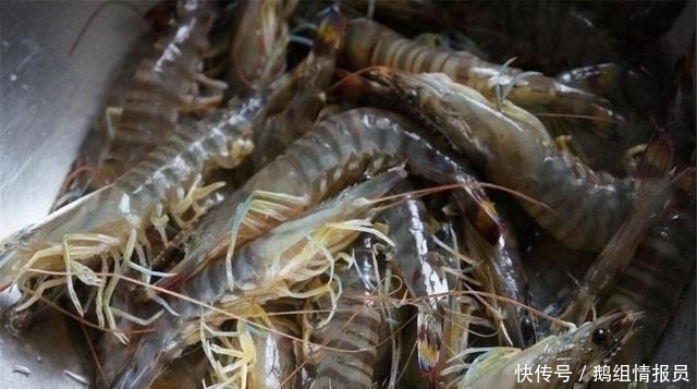 暖水|水煮虾，暖水下锅还是冷水下锅？如果没弄懂，虾都白吃了