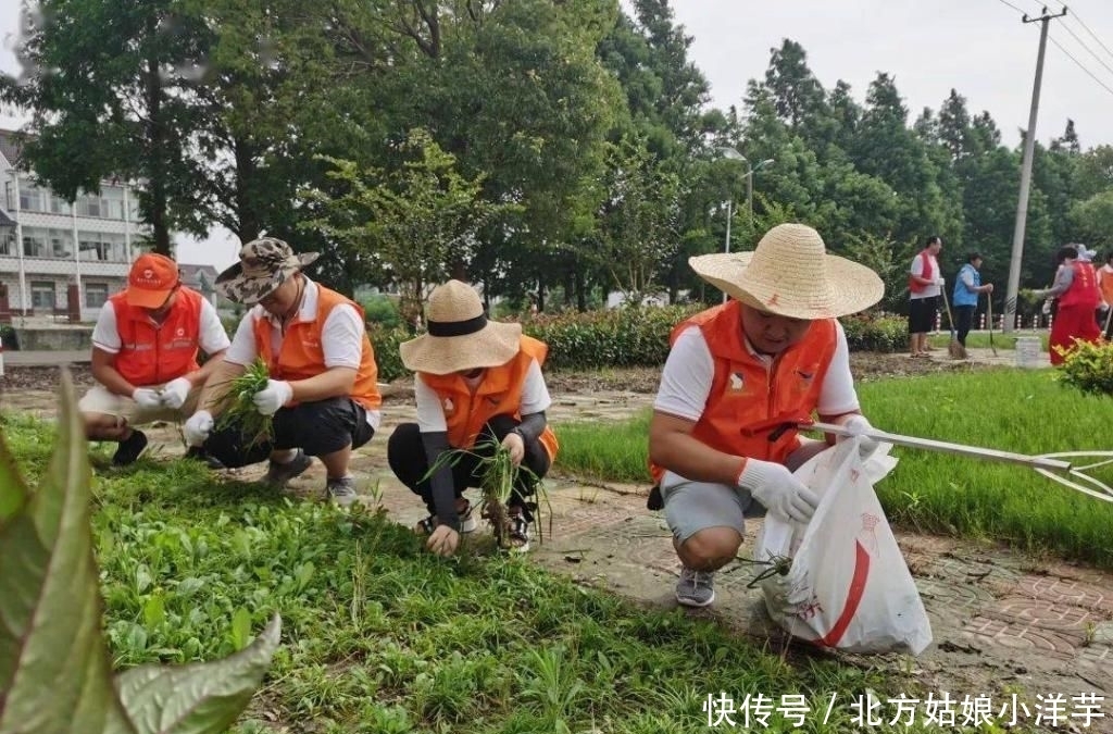 文明城区|给我们的家园做一场“深层SPA”！
