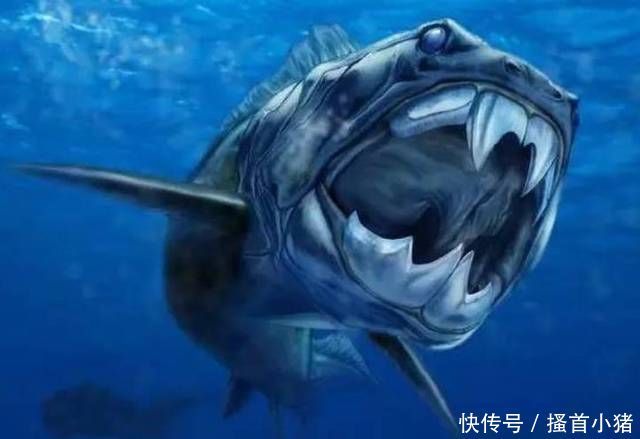 依然|5种咬合力高的远古动物,第3种依然存活,多被饲养