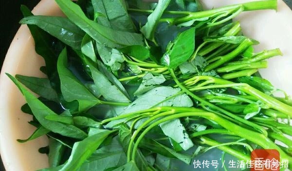 能手|这菜堪称是“补钾小能手”!清热祛湿营养高,秋季遇见要常吃