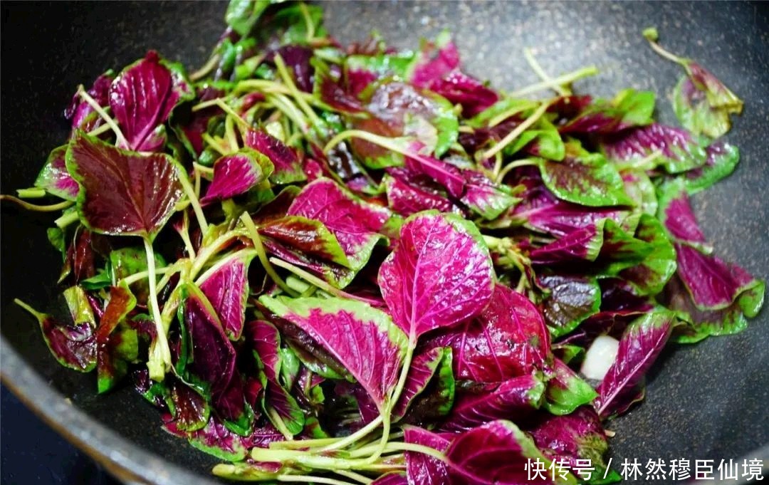 菠菜|这种蔬菜含钙量是菠菜的三倍,做饺子馅特别香