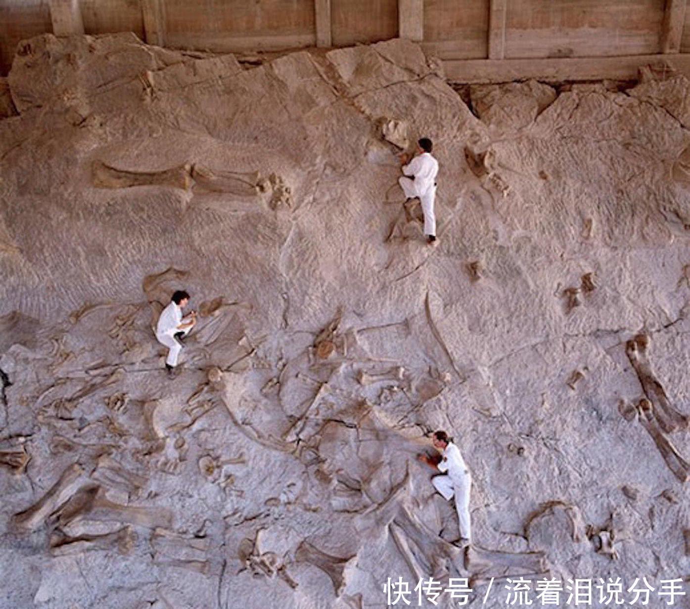 衣冠冢|最仁爱的皇帝，去世后百姓为他披麻戴孝，敌国为他建衣冠冢！