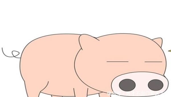  属猪|1971年属猪的人，未来三个月有大吉！名利双收财物不缺