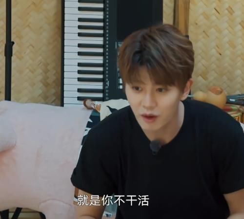 毕竟|任嘉伦上《向往》变身“怼王”,句句扎心谭松韵,气得她成表情包