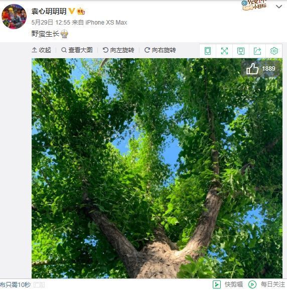 成长|当袁心玥再次“野蛮生长”,三大问题令人担忧,或让她陷入孤独